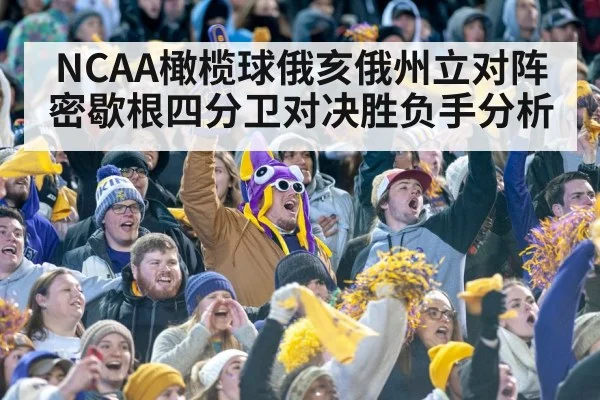 college football stadium crowd